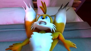 וניל לעומת פלי